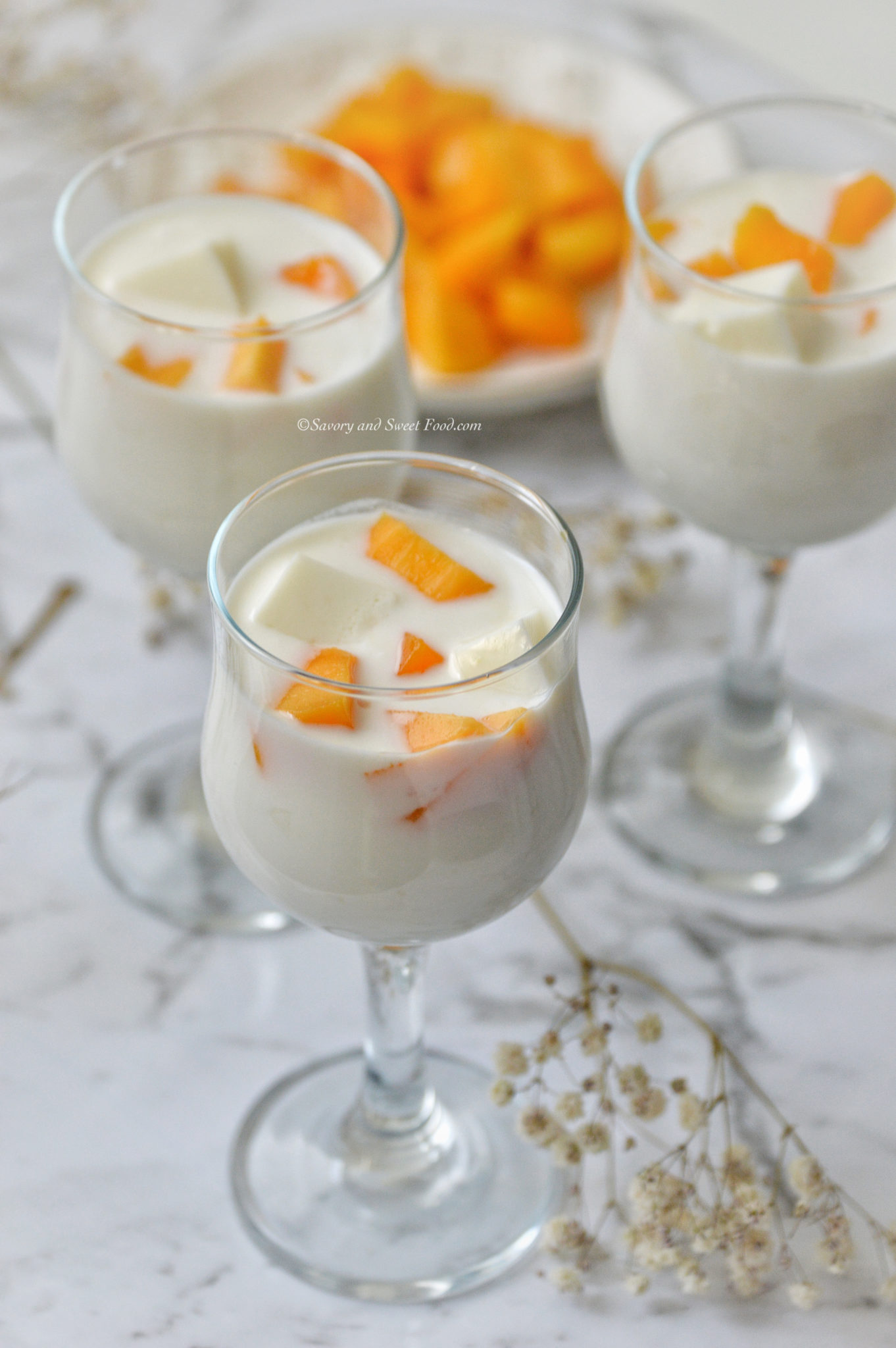 Mango & Agar Pudding in Coconut Cream Savory&SweetFood